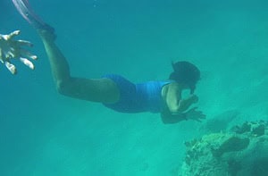 Snorkeling in Nevis is a visual paradise
