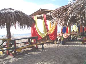 Sunshine's bar