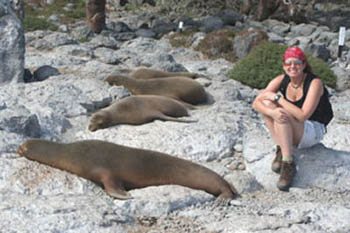 sea lions