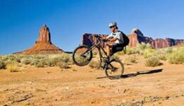 wheelie