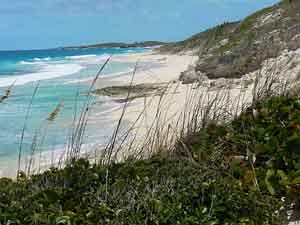 A beach on Stocking Island