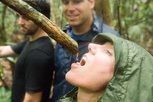 The branches of the water leanna contain potable water.