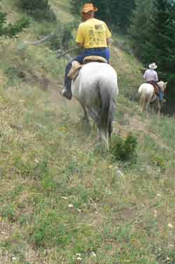 Riding down a mountain, trying not to fall off. 
