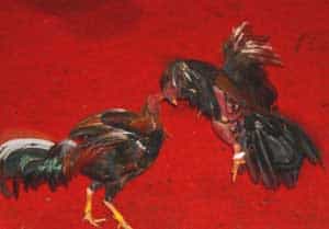 Beyond a Shadow of a Snout: A Saturday in Otavalo, Ecuador 12 These birds of a feather don’t like to flock together.