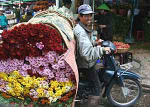 Flowers for sale