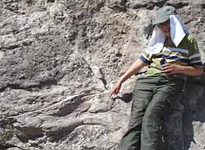 The author's son points to a dinosaur femur. Photos by Will Seigler