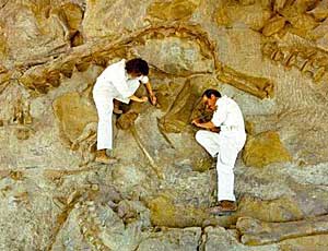 Scientists work on the wall of the quarry, which will be open to the public in three to five years.