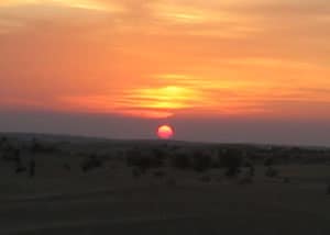 India: Beginner's Guide to Camel Trekking 8 The sun seeps within the dunes.