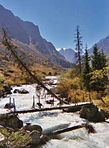 Beautiful Al Archa gorge is less than an hour by car from the capital of Kyrgyzstan. Michael Cook photos.