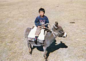 The shepherds live by their animals, and learn to ride early.