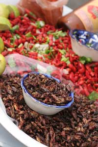 Eating Like a Local in Mexico City: True Sabor 3 Vivid flavors, bright colors, and the occasional dish you might try only once. Photo by Boris Kester, www.traveladventures.org