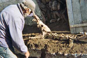 Vasili the shepherd and the prehistoric beast he unearthed 