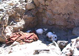 Rafting the Cotahuasi, One Woman's Adventure 5 During a portage of a class V rapid, the author discovered the ancient village of Marpa. Skeletons, textiles, sun temples, houses, and stone stairways were found.