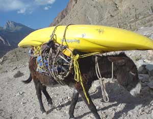 Rafting the Cotahuasi, One Woman's Adventure 4 A burro packed with a kayak and gear slowly, but surely, delivers our gear.