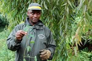 Rwanda's Magnificent Mountain Gorillas 3 Our guide Fidel