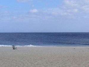 Oceanside on Sandy Hook Gunnison beach- photos by Dawn Harvey