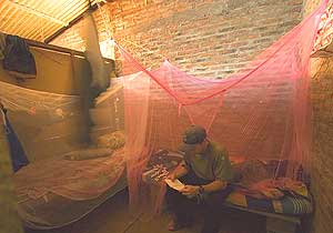 Nicaragua: Home to a Fascinating Organic Coffee Plantation 8 The author's accomodation at the La Pita cooperative