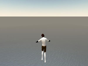 New Holland: Second Life Photo Gallery 8 Flying over the ocean