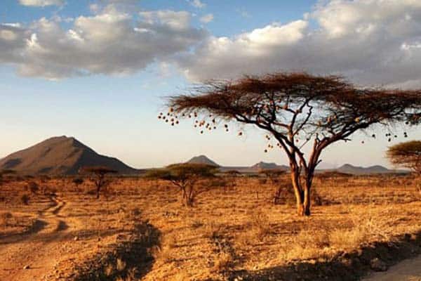 kenya landscape 1