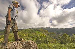 Nicaragua: Home to a Fascinating Organic Coffee Plantation 9 The verdant view overlooking El Roblar