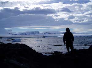 Way, Way Down Under: An Antarctic Safari 2 Safari
