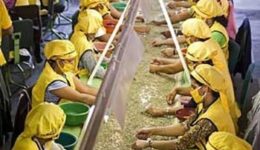 sorting-solcafe