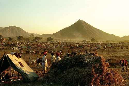 Pushkar Fair