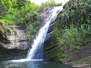 A waterfall in the rainforest