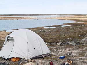 Summer in the Arctic: Searching for Goose Eggs 2 Out camping