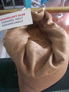 Malt, one of the many essential ingredients that go into creating Prague’s drink of choice