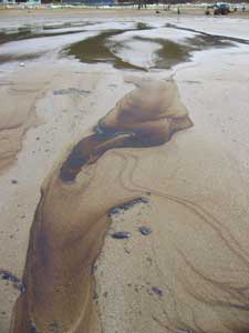 A ruined beach