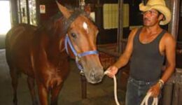 equestrian-travel