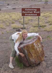 Route 66: The Main Street of America 8 Connie at The Petrified Forest