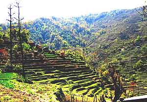 Trekking in Nepal: Change on the Horizon 8 Farm villages cling to the mountainsides.