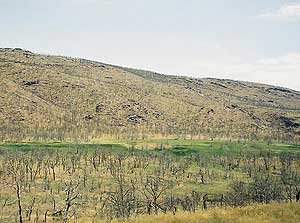 Digging Up The Past in Utah's Flaming Gorge 7 Dripping Springs shows green through the fire damage.