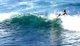 surfing