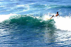 surfing