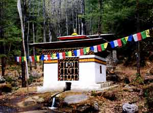 Bhutan: An Unbelievable Visit to The Tiger's Nest 6 A chorten on the way to Taktshang Goemba
