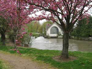 The crabapple trees in bloom next to a picturesque little mill along the La Vesle river