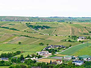 Loire Valley farm fields in France.