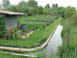 The Marais marshlands