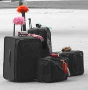The Very Latest Handy Travel Gadgets for 2008 3 Travel Chic Luggage Tags