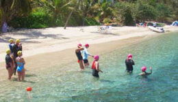 Virgin Islands Beach