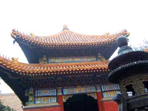 A traditional Chinese curved roof