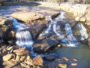 Gorgeous Greenville, South Carolina 3 Reedy River Falls is a sight to behold with its grace and beauty.