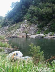 The Nymboida River
