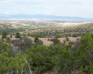 Rolling New Mexico landscape