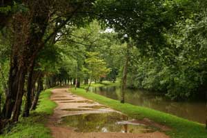 A walk along the Christ Church Meadows