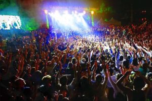 rainforest world music festival
