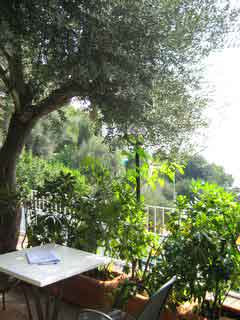 Positano: Paradise Italian Style 2 Terrace of Cooking Vacations Bed and Breakfast